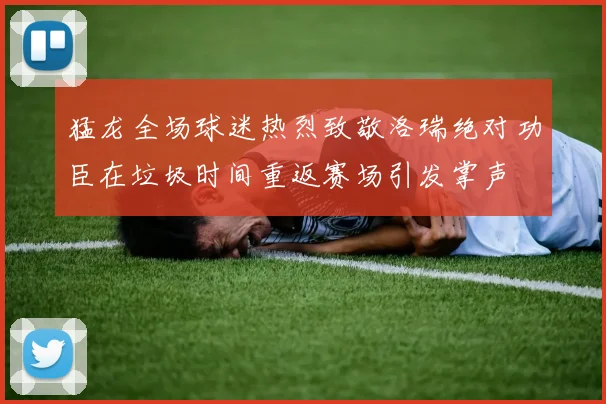 猛龙全场球迷热烈致敬洛瑞绝对功臣在垃圾时间重返赛场引发掌声