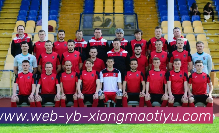 多媒体互动体验